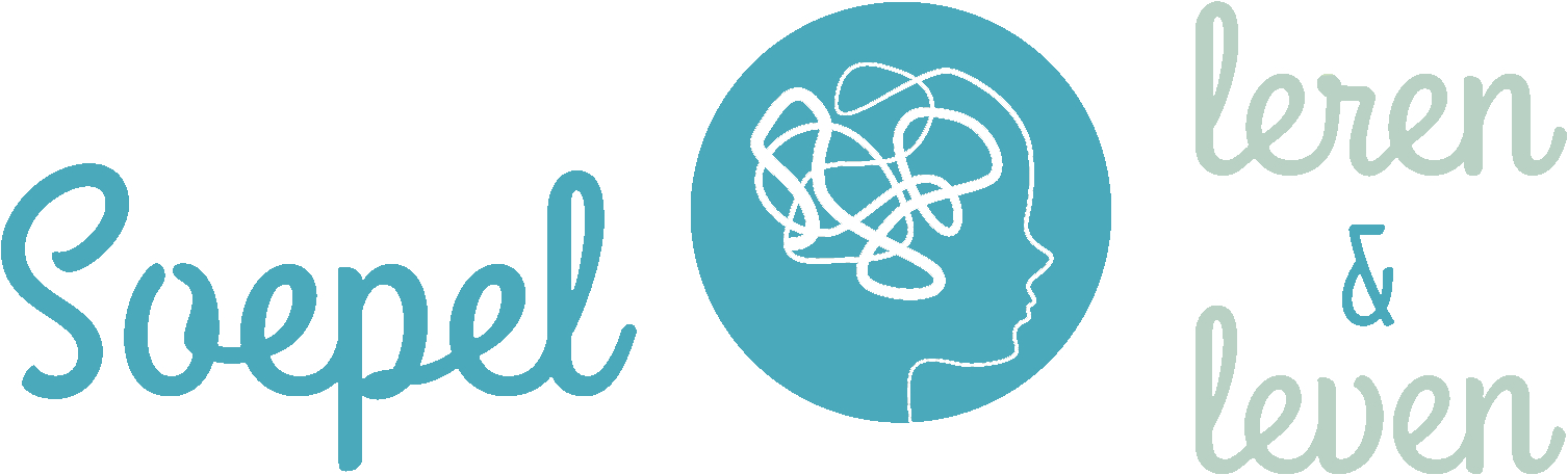 Logo Soepel Leren